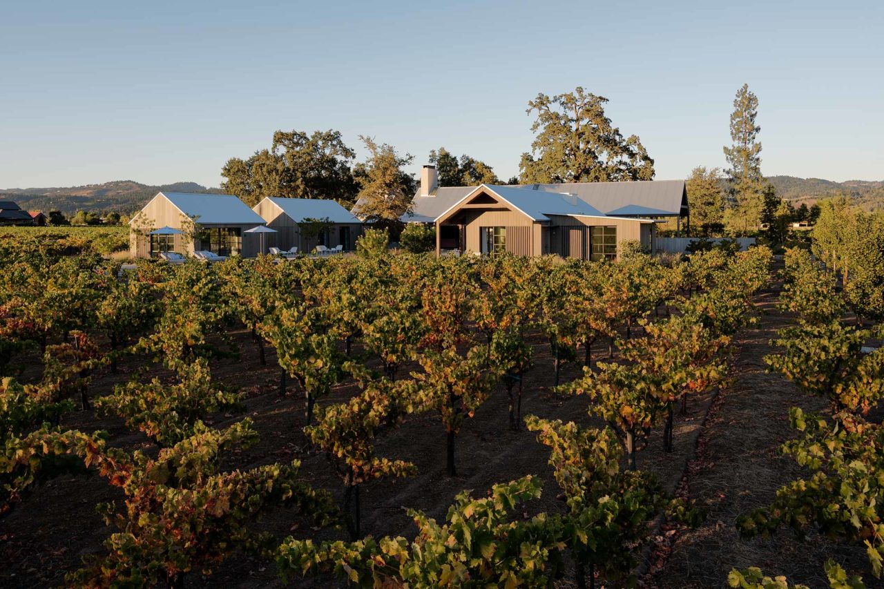 ZINFANDEL | Field Architecture